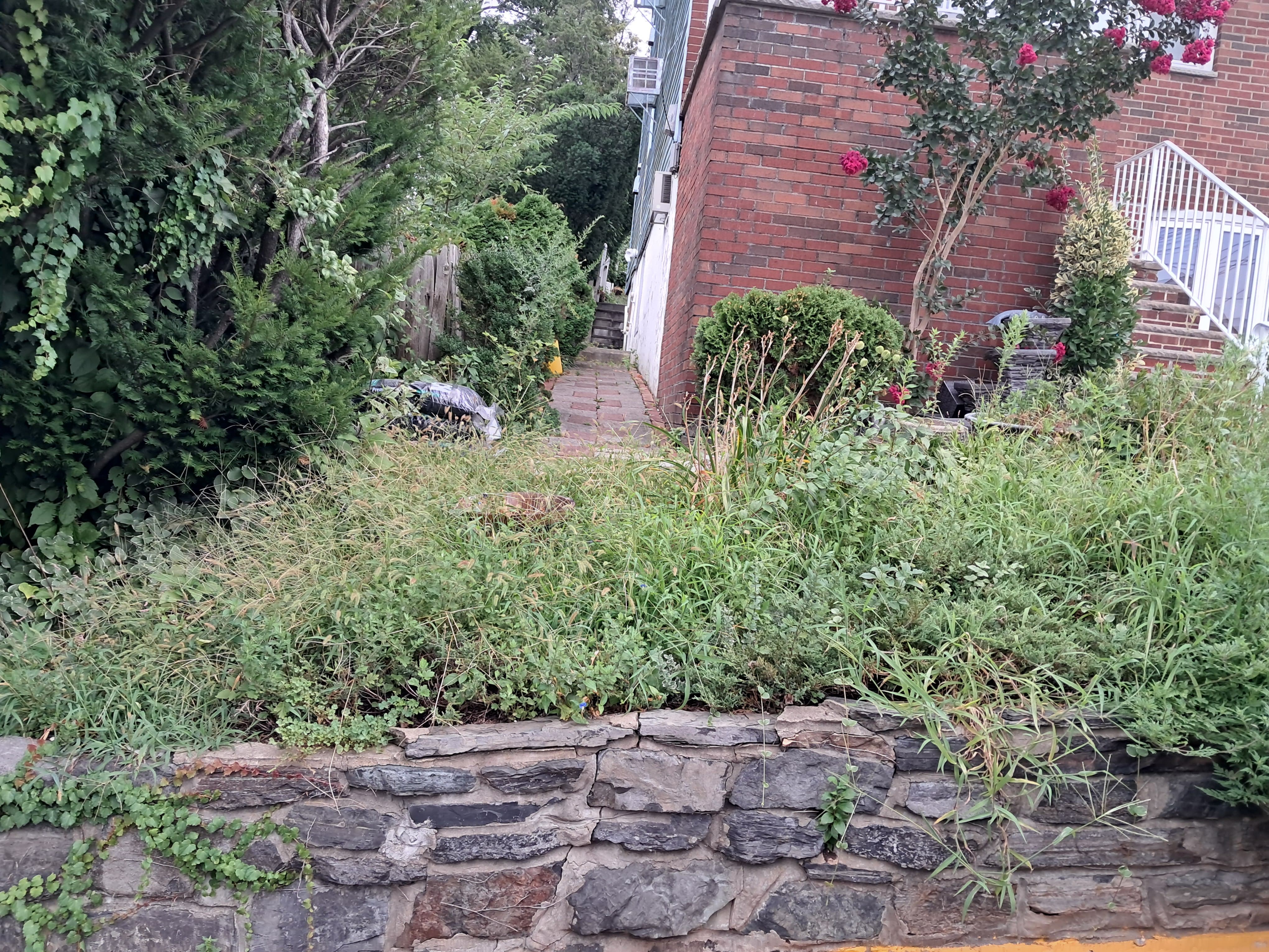 Before: Property maintenance needed in Bergen County, NJ